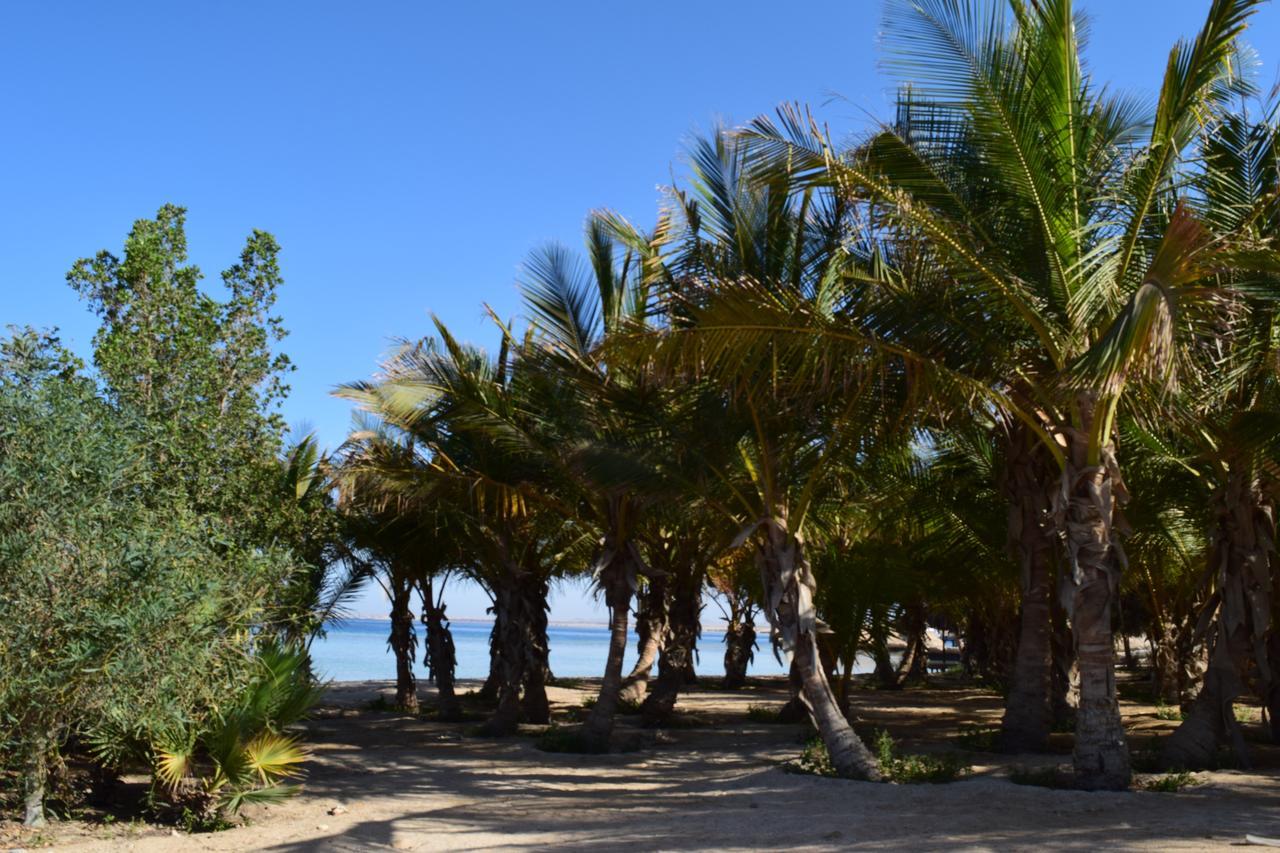 Mangrove Bay Resort El Qoseir Exterior photo